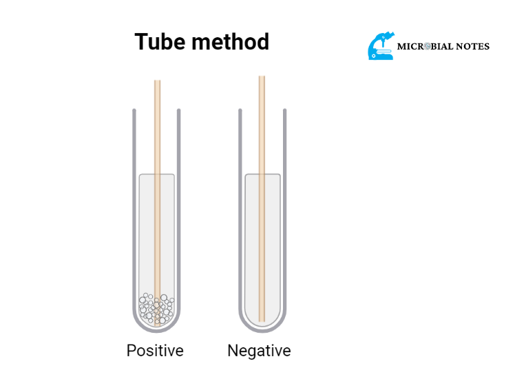 tube method for catalase test 