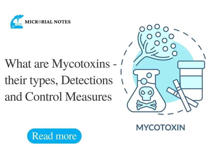 what are mycotoxins