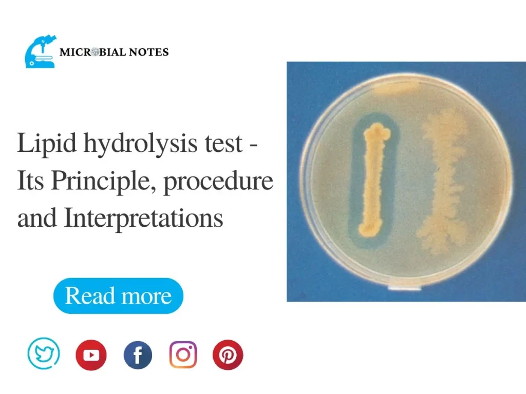 lipid hydrolysis test