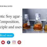 tryptic soya agar