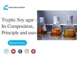 tryptic soya agar