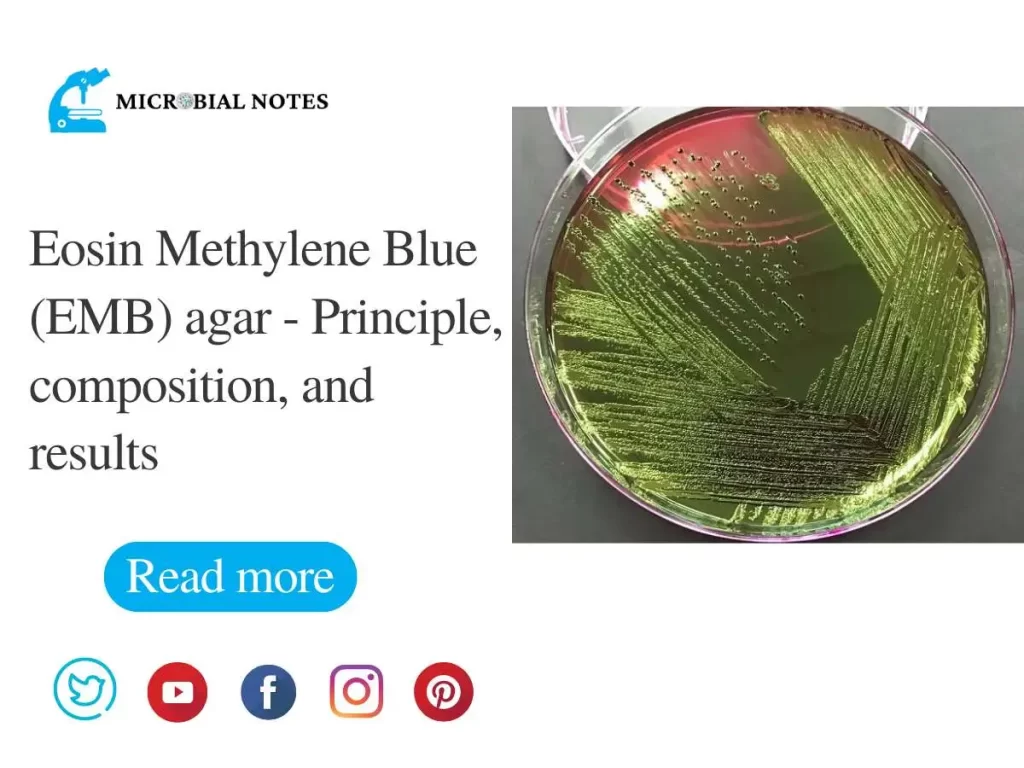 Eosin Methylene Blue