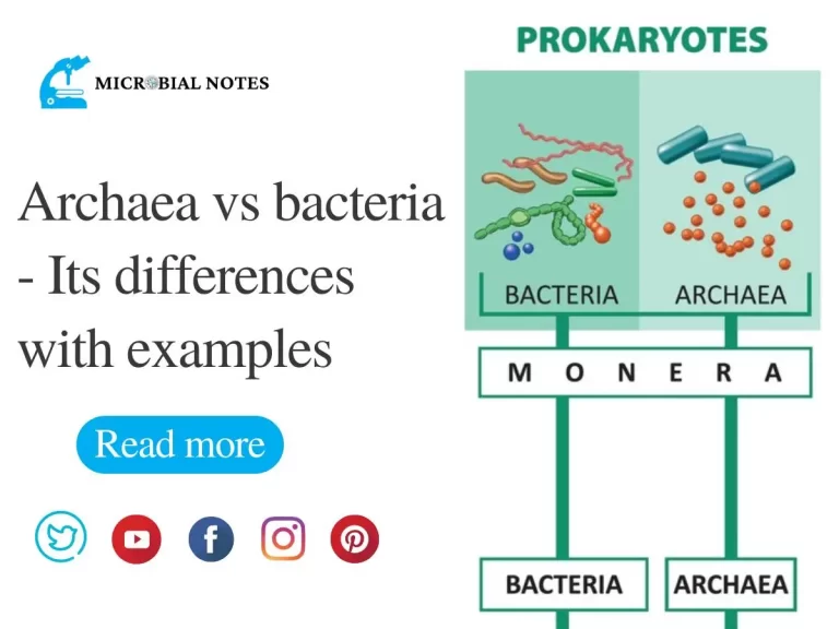 archaea vs bacteria