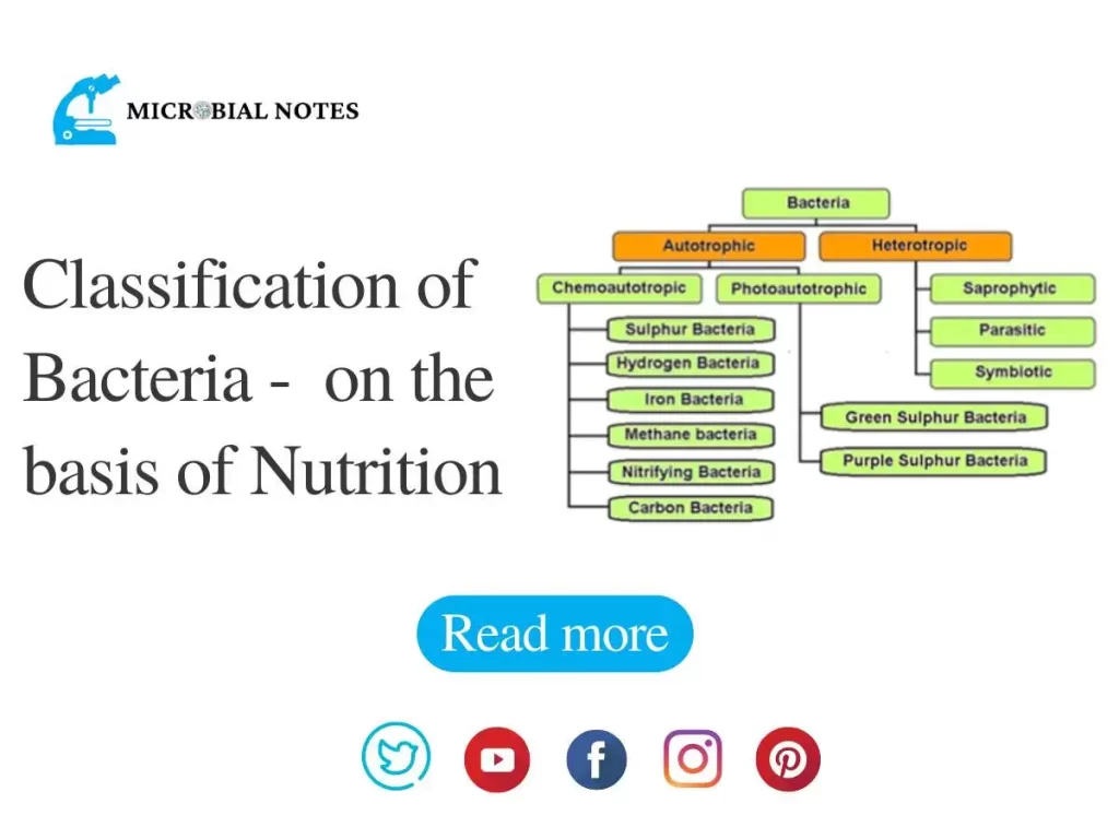 classification of bacteria on the basis of nutrition