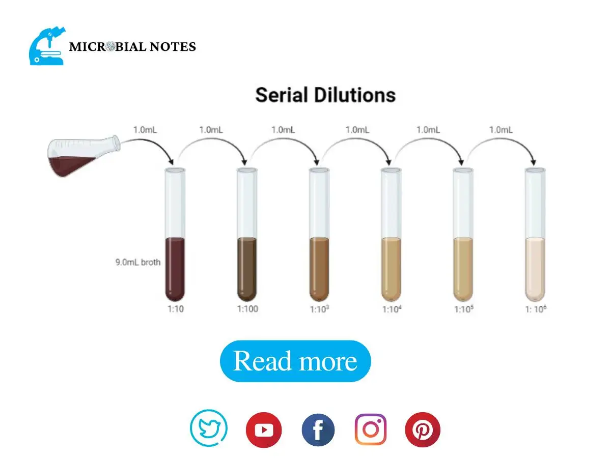 Serial Dilution How Do We Prepare It