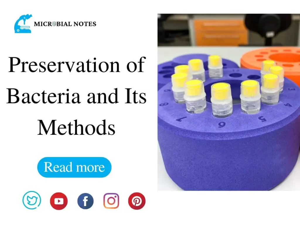 preservation of bacteria