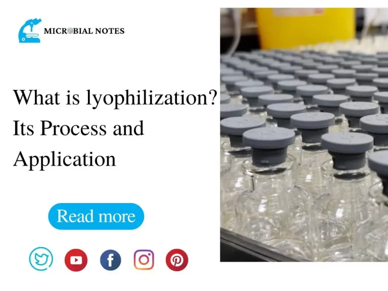 What is lyophilization - Its Process and Application