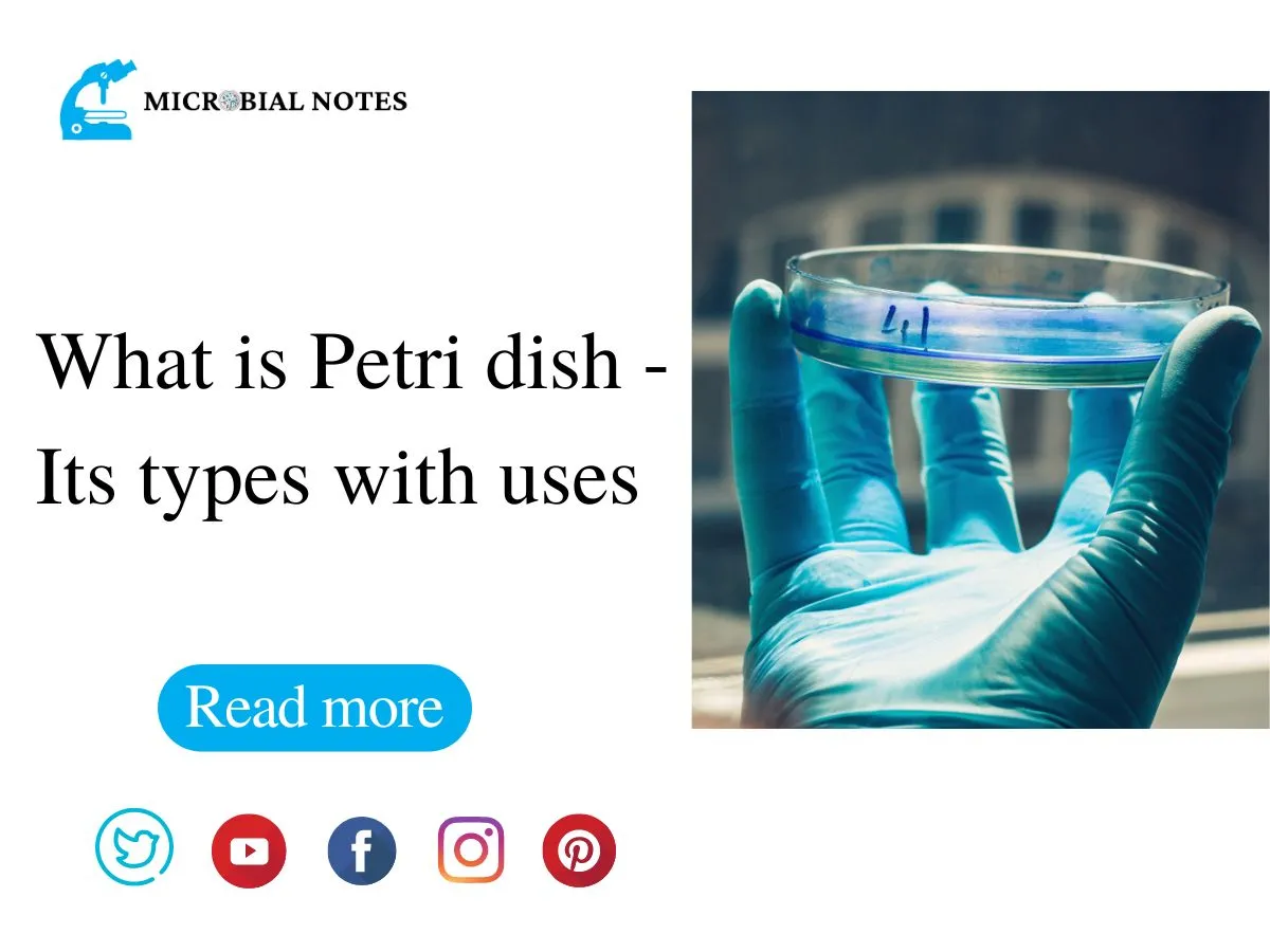 What is Petri dish Its types with uses Microbial notes