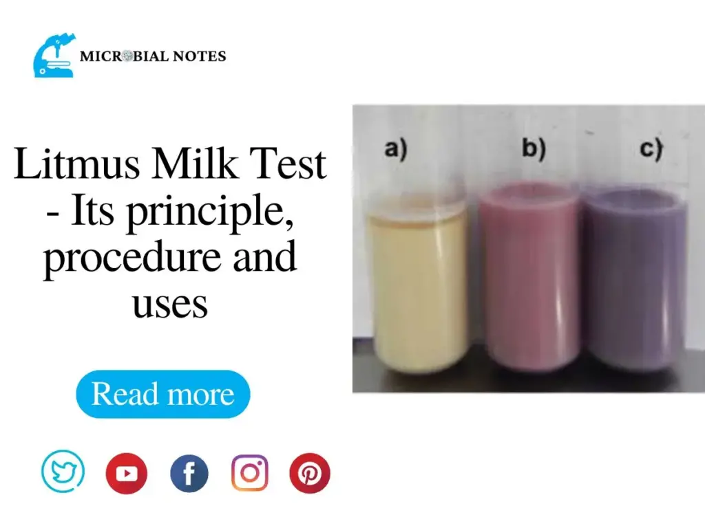 litmus milk test