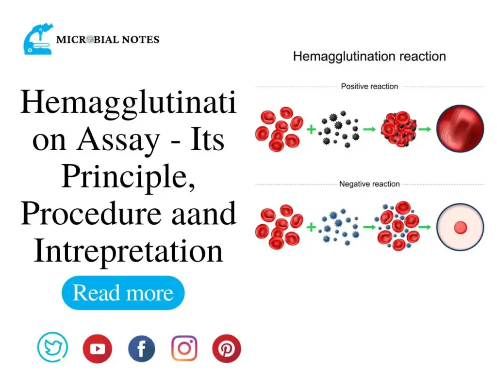 hemagglutination assay