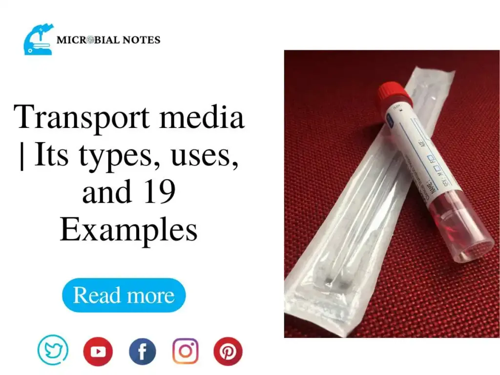 Transport media