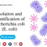 Isolation and Identification of Ecoli