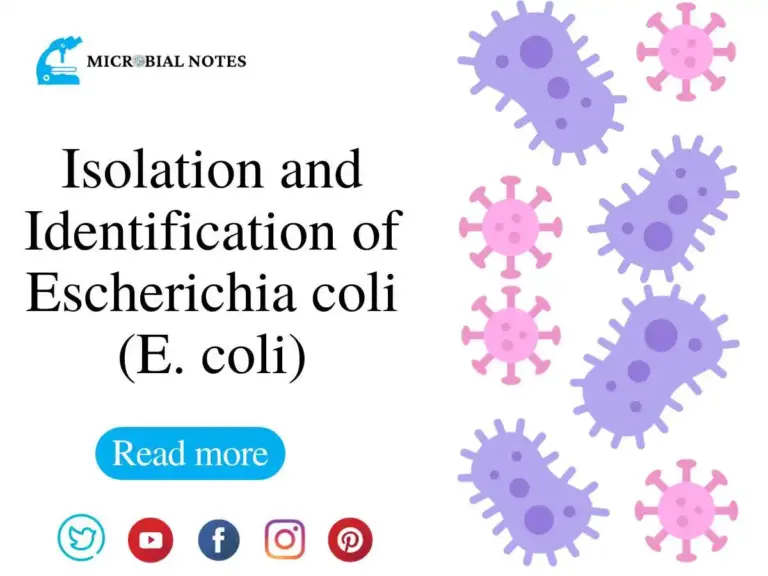 Isolation and Identification of Ecoli