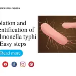 Isolation and Identification of Salmonella typhi in easy steps