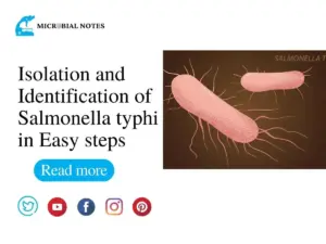 Isolation and Identification of Salmonella typhi in easy steps
